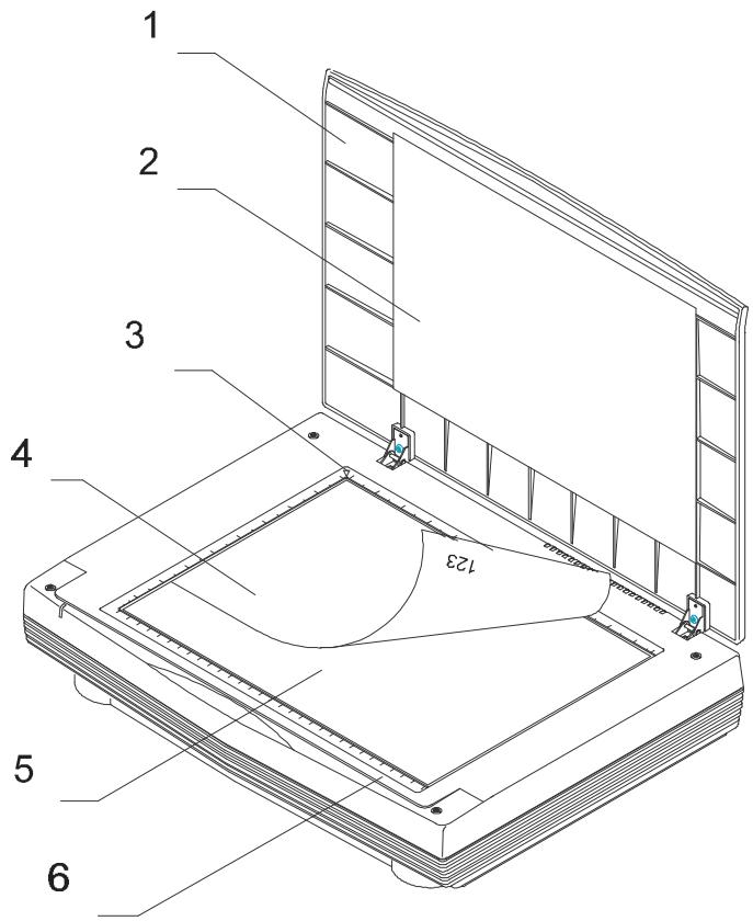 AVISION AV363C - Document Placement - 1