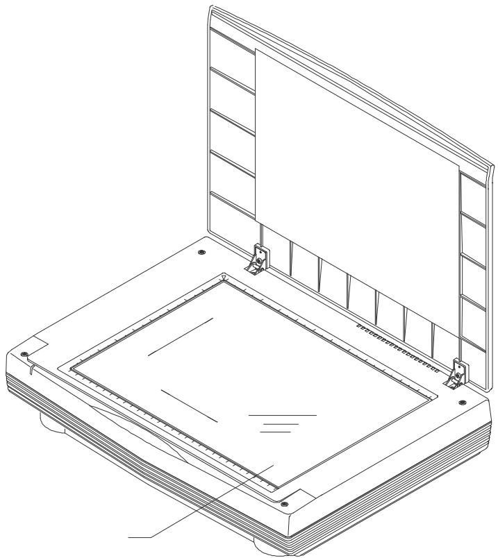 AVISION AV363C - Clean the Document Board Glass: - 1