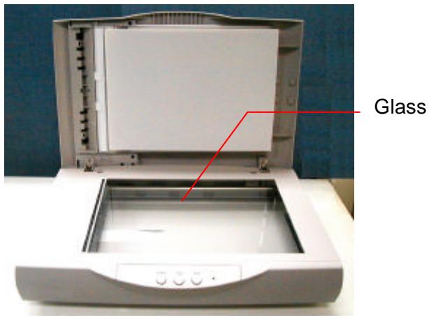 AVISION AV610 - The Procedures - 1