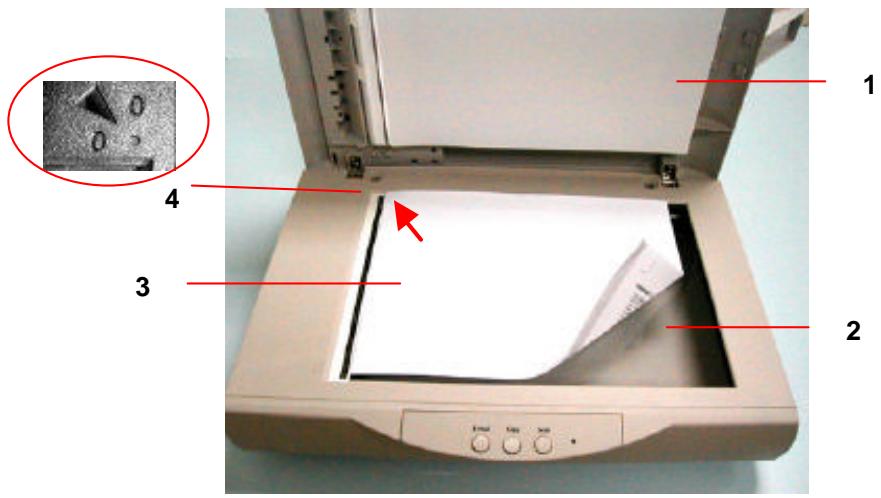 AVISION AV610 - Fixing Paper on the Glass Board - 1