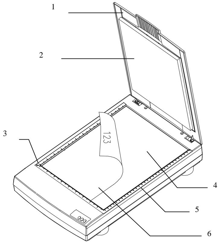 AVISION AV626C - DOCUMENT PLACEMENT - 1
