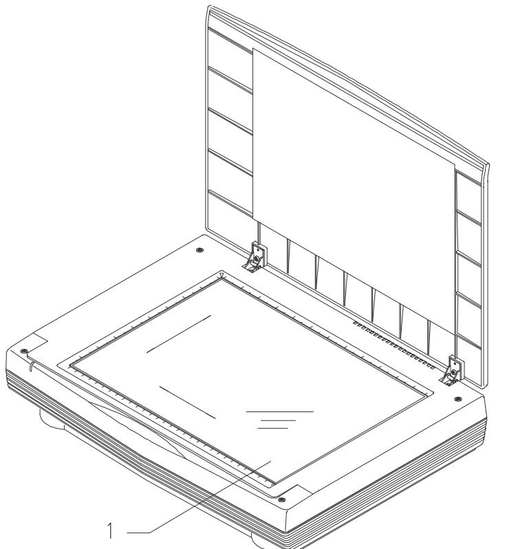 AVISION AV630C - Clean the Document Board Glass: - 1