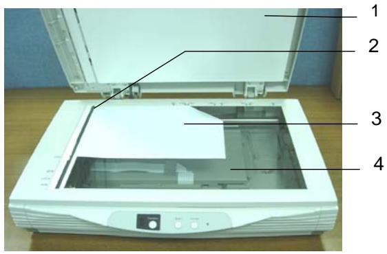 AVISION AV8050U-G - COOMPLETING YOUR FIRST SCAN - 1