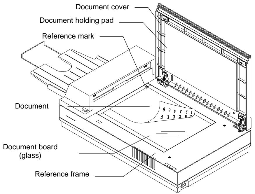 AVISION AV830C - DOCUMENT LOADING - 1