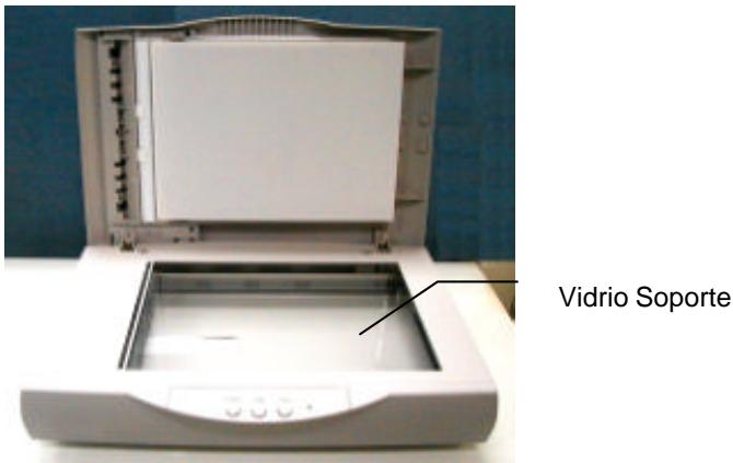 AVISION AVA3 - Procedimiento - 1