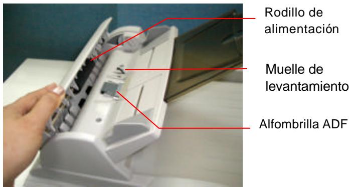 AVISION AVA3 - Procedimiento de limpieza - 1