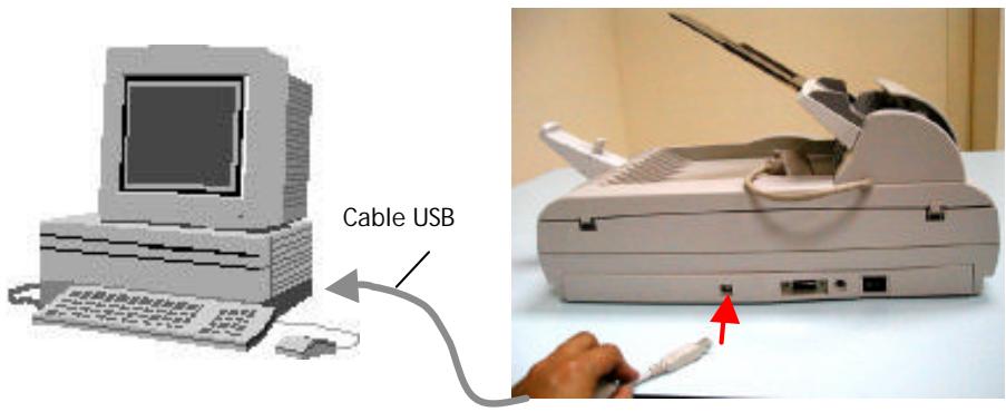 AVISION AVA3 - Conexión al ordinador - 1