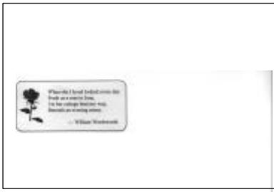 AVISION DS300 - The Operating Steps: - 1