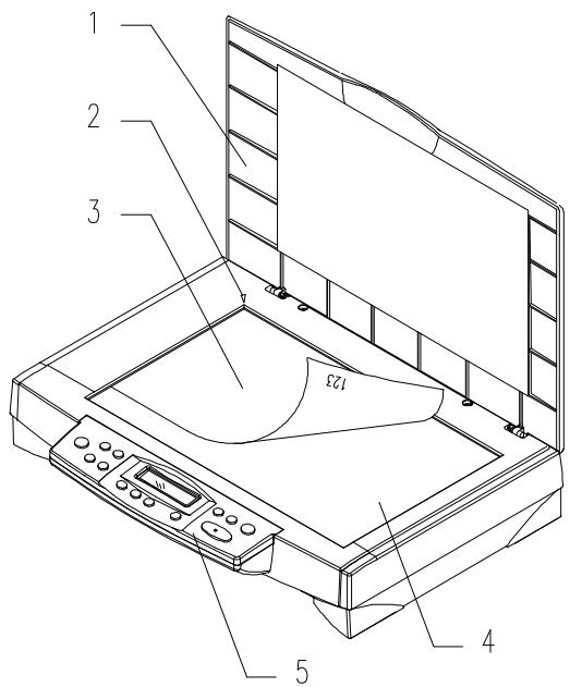 AVISION DS300 - DOCUMENT PLACEMENT - 1