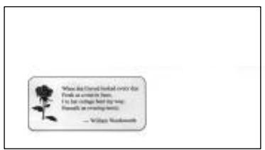 AVISION DS600C - The Operating Steps: - 1