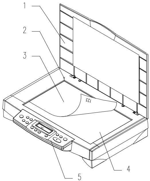AVISION DS600C - CONNECTING DS600C TO WORK AS A SCANNER - 2