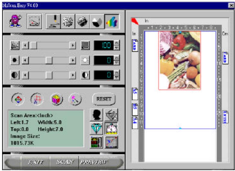 AVISION DS600C - The TWAIN user interface: - 1