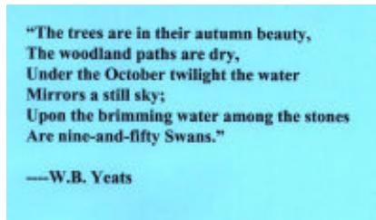 AVISION DS600C - Original(Color picture) - 2