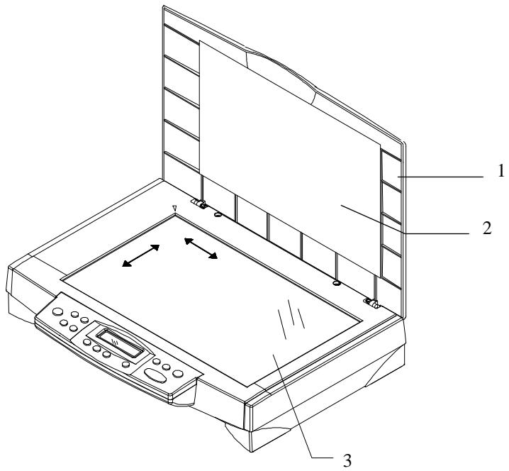 AVISION DS600C - Procedure - 1