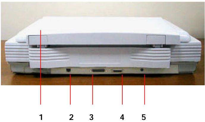 AVISION DS8000C - THE REAR VIEW - 1