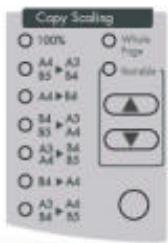 AVISION DS8000C - Scaling Area: - 1