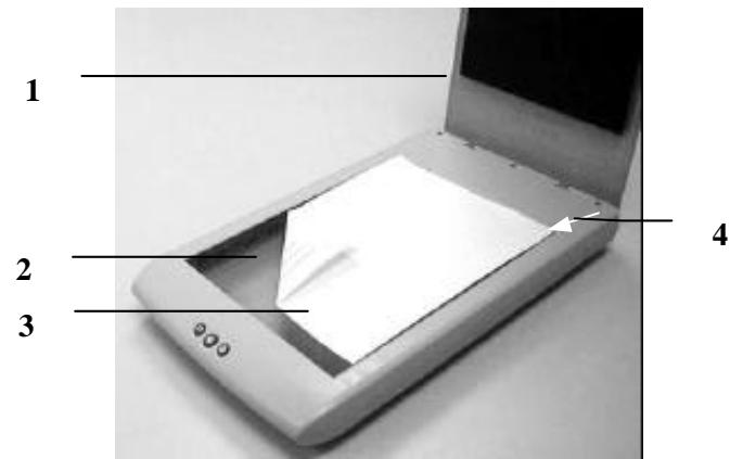 AVISION FB1210U - PLACING YOUR ORIGINAL - 1