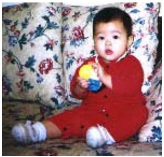 AVISION NETDELIVER @V5100 - Resolution - 2