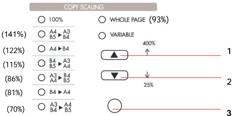 AVISION NETDELIVER @V5100 - Part A: Scaling Area: - 1
