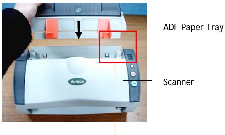 AVISION A10C2 - Installing the ADF Paper Tray - 1