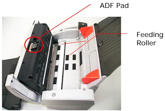 AVISION A10C2 - The Cleaning Procedures - 2