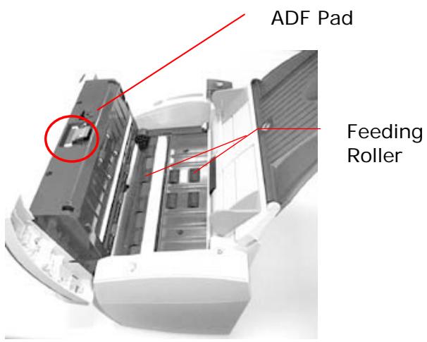 AVISION A20C2 PLUS - The Cleaning Procedures - 2