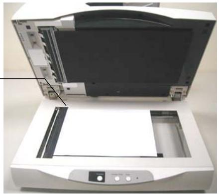 AVISION AV6200 - Fixing Paper on the glass board - 1