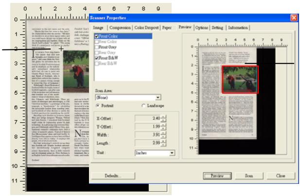 AVISION AVA5 - A Cross Sign - 1