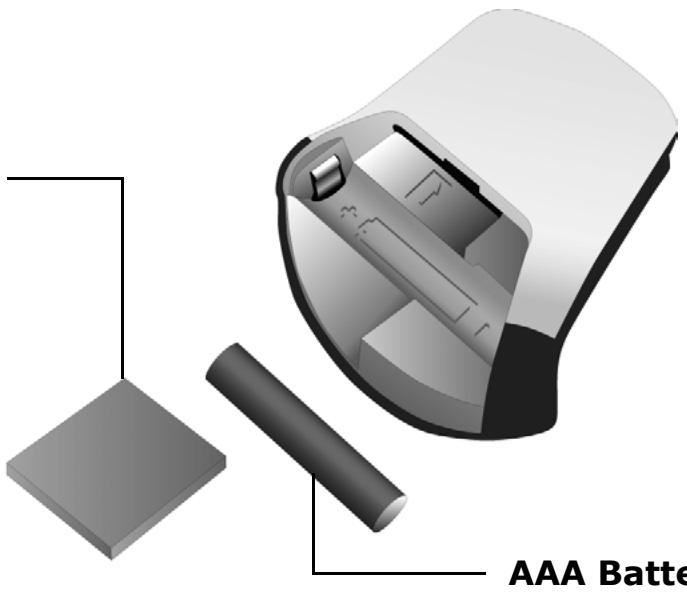 RIO CHIBA - FORWARD and REVERSE - 2