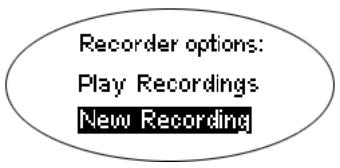RIO 800 - Recording and playing voice - 1
