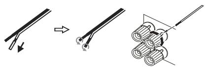 CAMBRIDGE TOPAZ SR10 - Using bare wire connections - 1