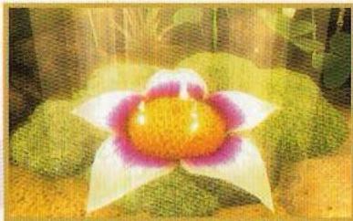 GAMES SONY PS & PSX GAMES SONY PS & PSX ARTHUR ET LES MINIMOYS - Sauvegarde - 1