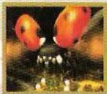 GAMES SONY PS & PSX GAMES SONY PS & PSX ARTHUR ET LES MINIMOYS - Moyens de transport: - 3