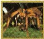 GAMES SONY PS & PSX GAMES SONY PS & PSX ARTHUR ET LES MINIMOYS - Moyens de transport: - 2