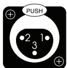 CLASSE AUDIO CA-2100 - Entrada Balanceada (XLR) - 1