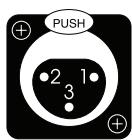 CLASSE AUDIO CA-2100 - Symmetrischer (XLR-) Eingang - 1