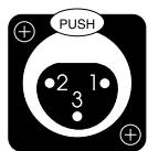 CLASSE AUDIO CA-2200 - Balanced (XLR) Input - 1