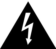 CLASSE AUDIO CA-2200 - RISK OF ELECTRIC SHOCK DO NOT OPEN - 1