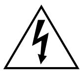 CLASSE AUDIO CDP-100 - RISK OF ELECTRIC SHOCK DO NOT OPEN - 2