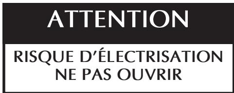 CLASSE AUDIO CA-5300 - Instructions importantes concernant la sécurité - 2