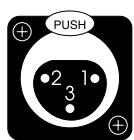 CLASSE AUDIO CA-M300 - Balanced (XLR) Input - 1