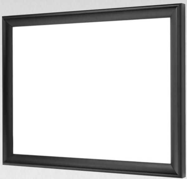 DA-LITE IMAGER - PRESENTATION PRODUCTS - 2