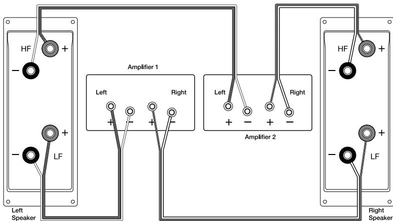 INFINITY PRELUDE FORTY - BI-WIRING - 3