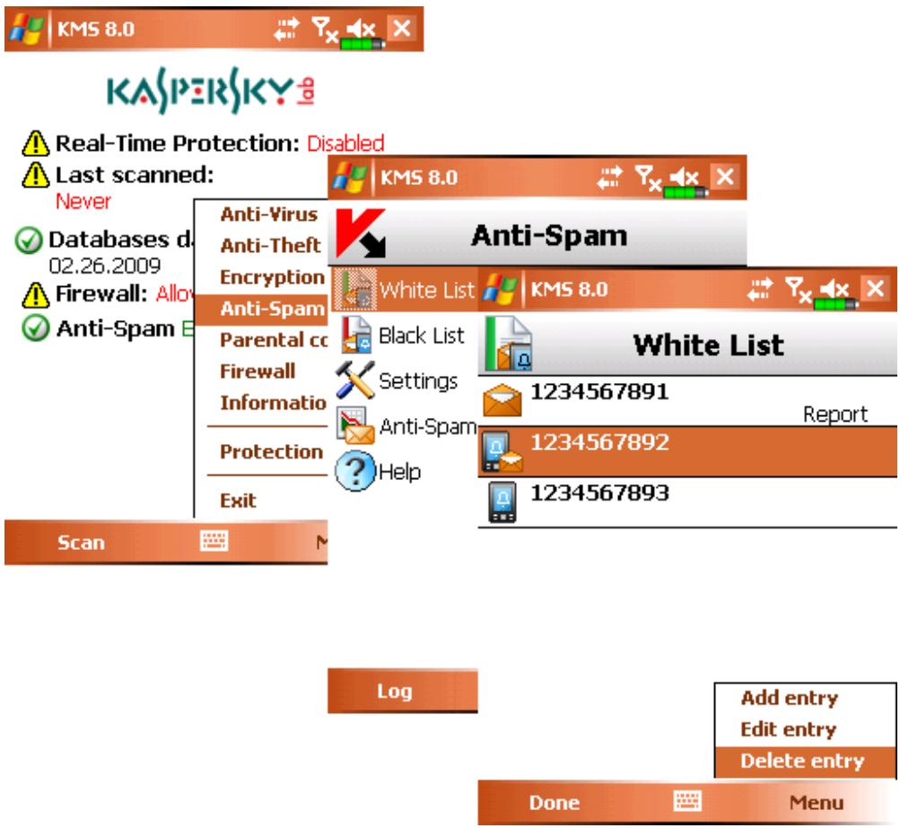KASPERSKY LAB MOBILE SECURITY 8.0 - DELETING AN ENTRY - 1