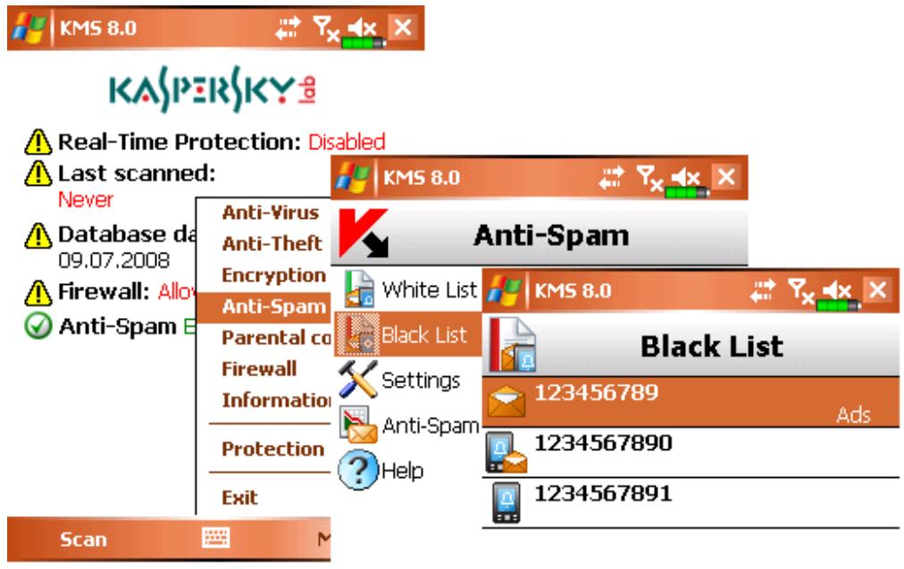 KASPERSKY LAB MOBILE SECURITY 8.0 - Deleting an entry - 1