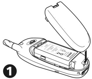 TRIUM MYSTRAL - Preparing to make your first call - 5