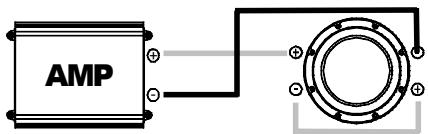 XTANT X2.1044 - 3