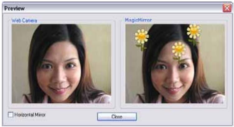 GENUIS LOOK 317 - To use the Face Morph features: - 2