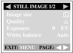 GENUIS P313 - Image size - 1
