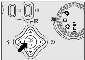 GENUIS P313 - Zoom playback - 1